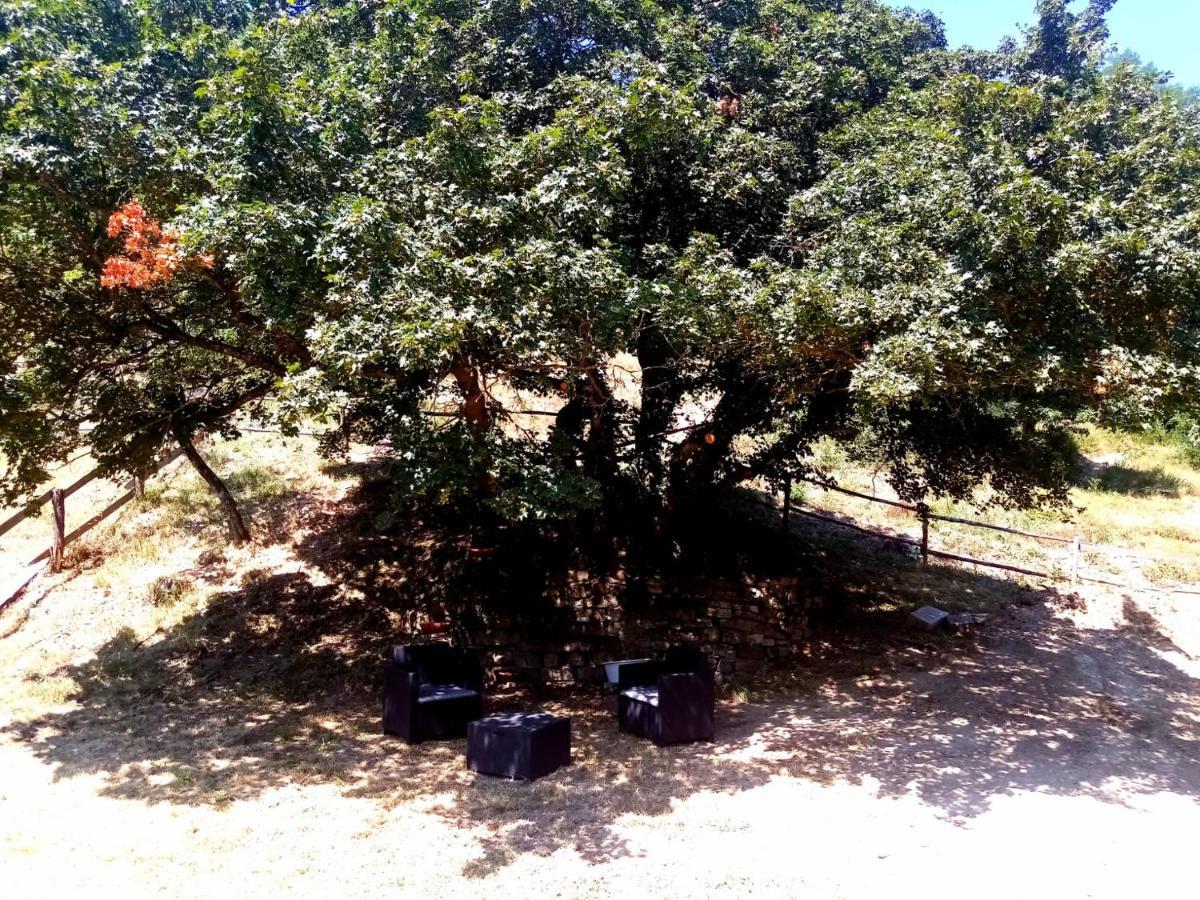 Locanda Di Alberi Borgo San Lorenzo Luaran gambar