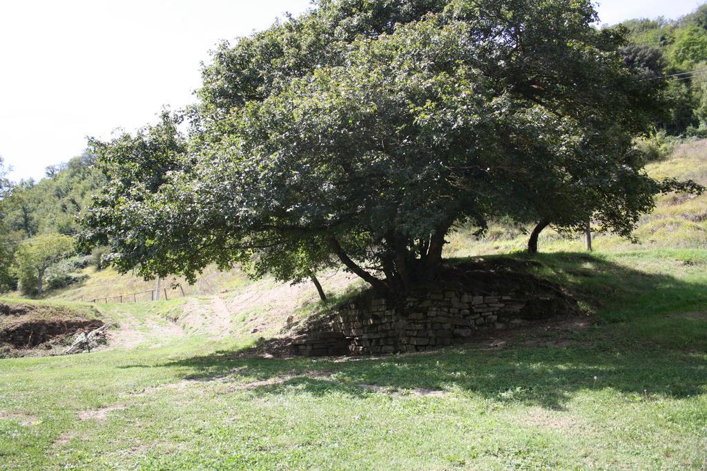 Locanda Di Alberi Borgo San Lorenzo Luaran gambar