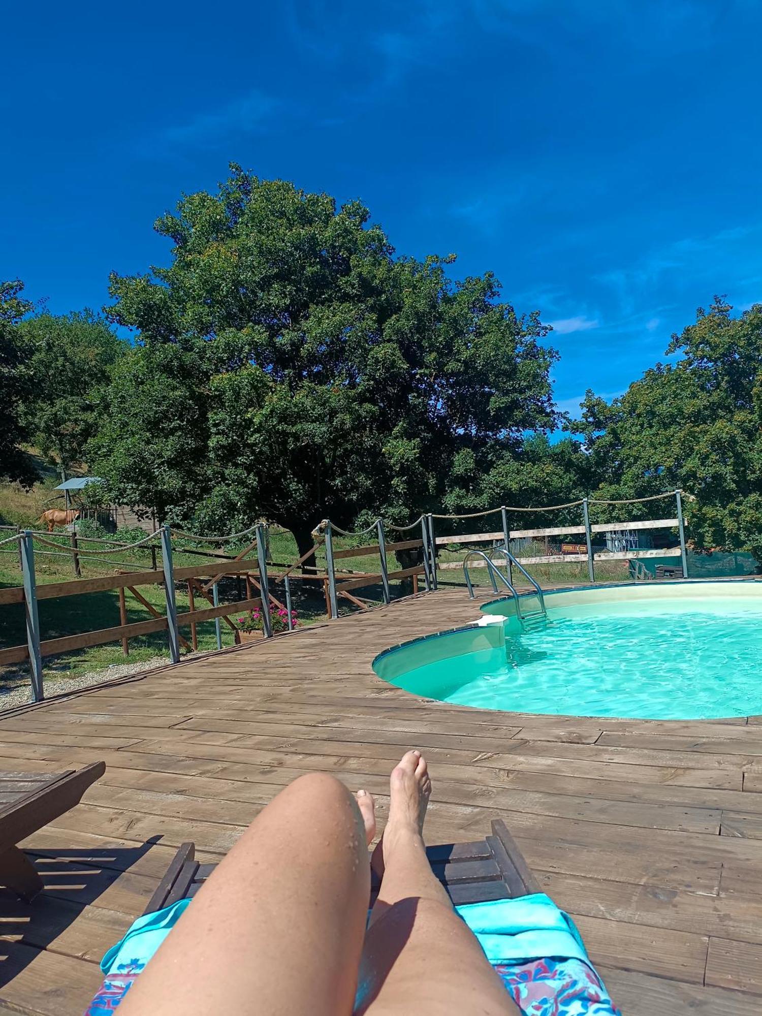 Locanda Di Alberi Borgo San Lorenzo Luaran gambar