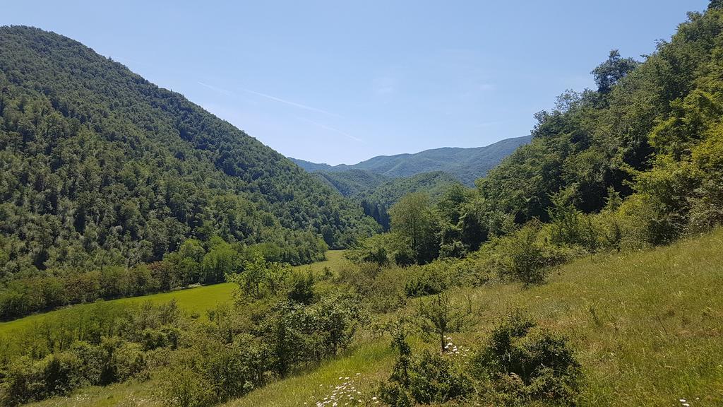 Locanda Di Alberi Borgo San Lorenzo Luaran gambar